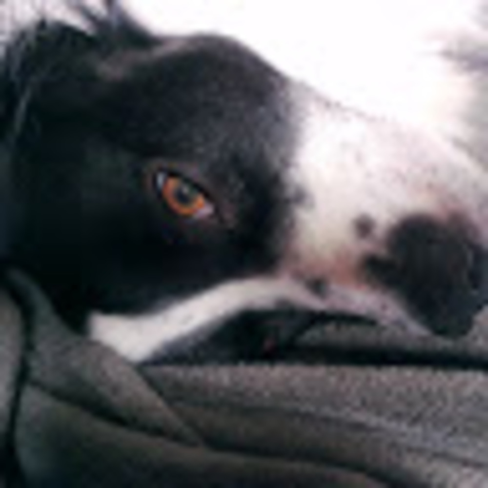 Meet your Posher, Alicia